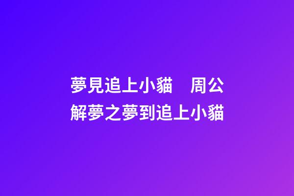 夢見追上小貓　周公解夢之夢到追上小貓